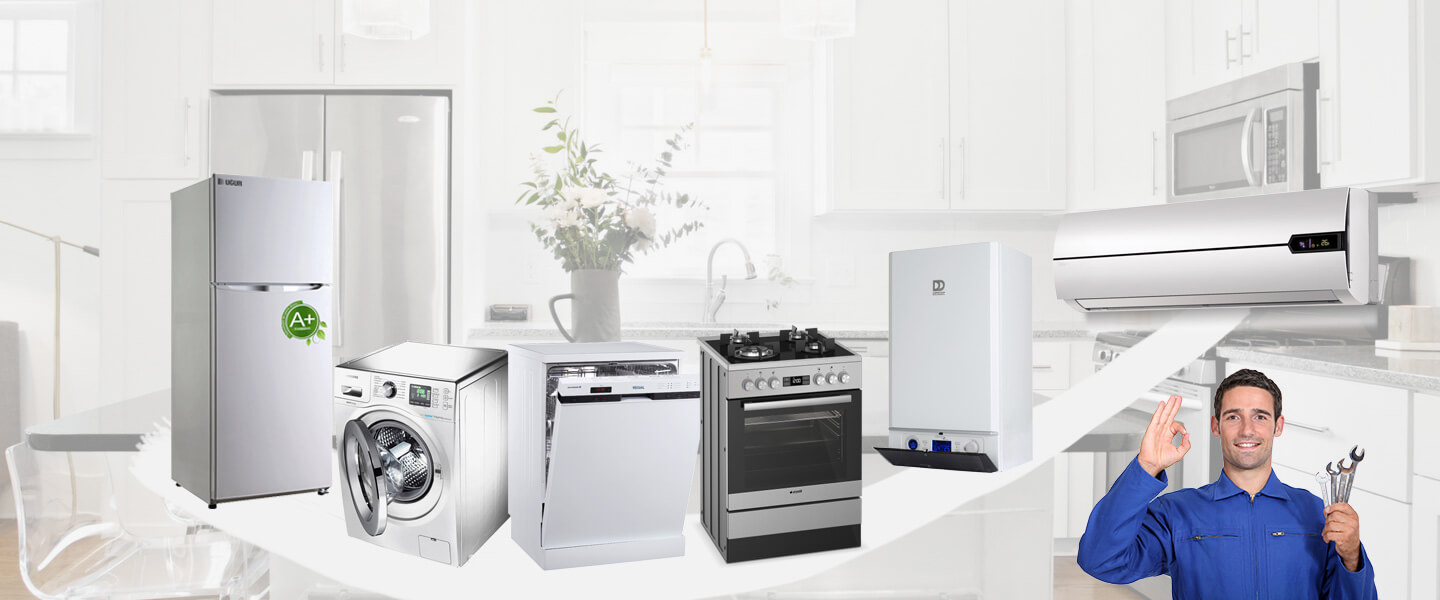 Sakarya Electrolux Servisi